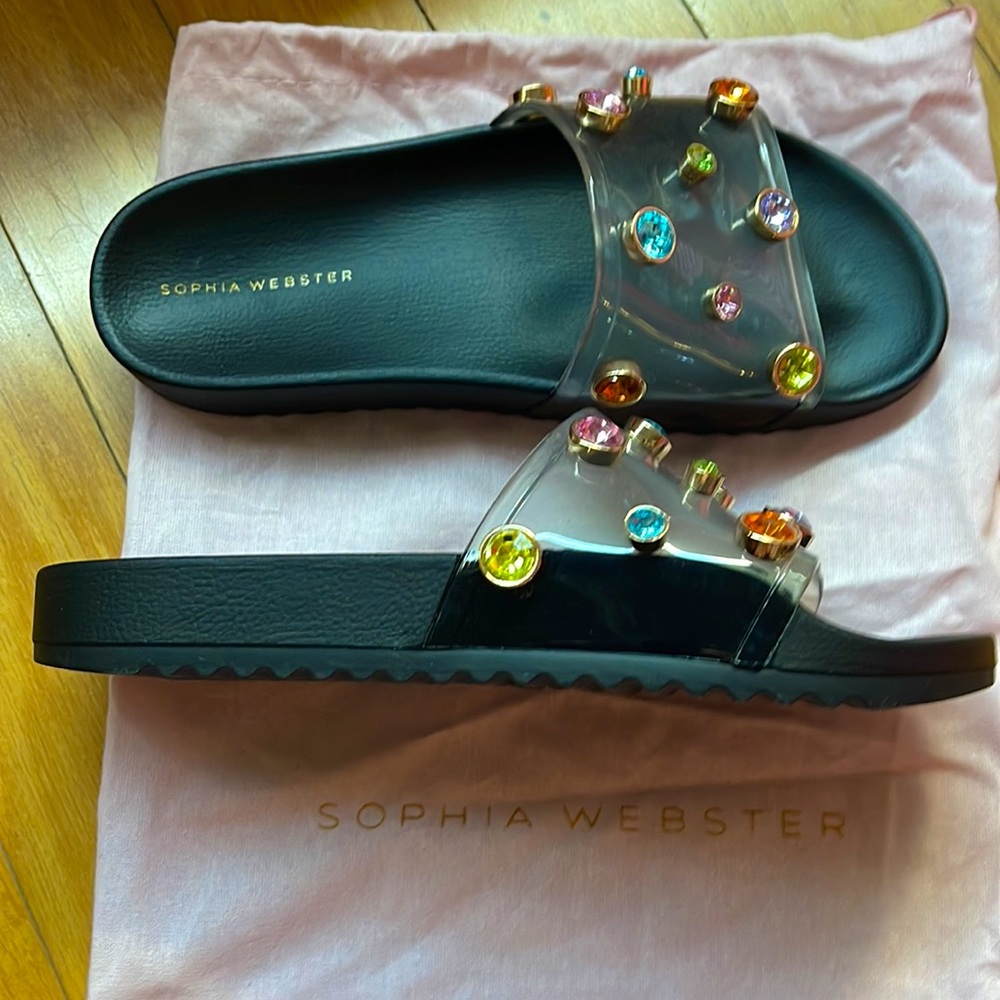 SOPHIA WEBSTER Dina Embellished Slides. Size 8 available.